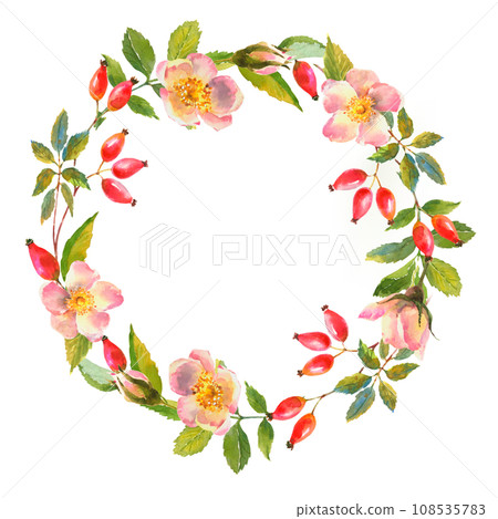 Watercolor rose hip wreath. Flowers, leaves and fruits of wild roses. Briar, watercolor painting for decoration. Watercolor rose hip wreath. Flowers, leaves and fruits of wild roses. Briar, watercolor painting for decoration. 108535783