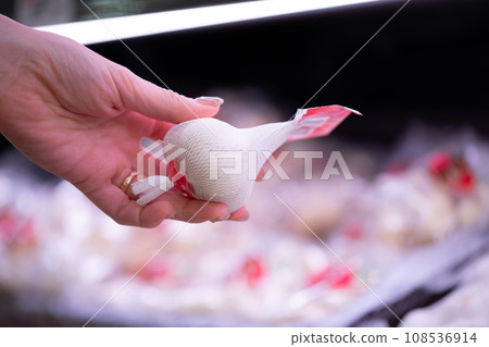 Woman's hand holding garlic in the net Woman's hand holding garlic in the net 108536914