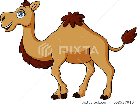 Cute camel cartoon on white background Cute camel cartoon on white background 108537019