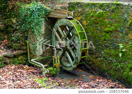 Mill water wheel and dried pond with moss in autumn  108537046