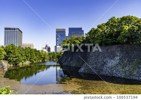 東京北之丸公園 平川護城河 東京都千代田區 108537194