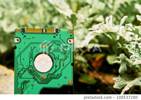 Green Internal hard drive for storing information on flower bed Green Internal hard drive for storing information on flower bed 108537200