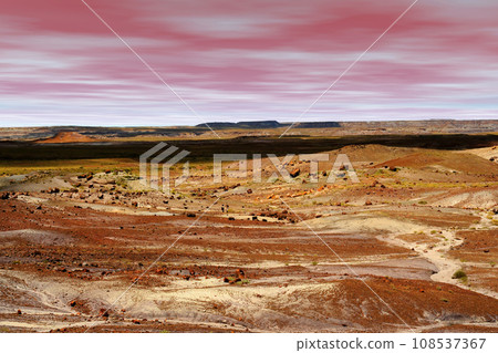 Rugged and Desolate Landscape Petrified Forest Arizona 108537367
