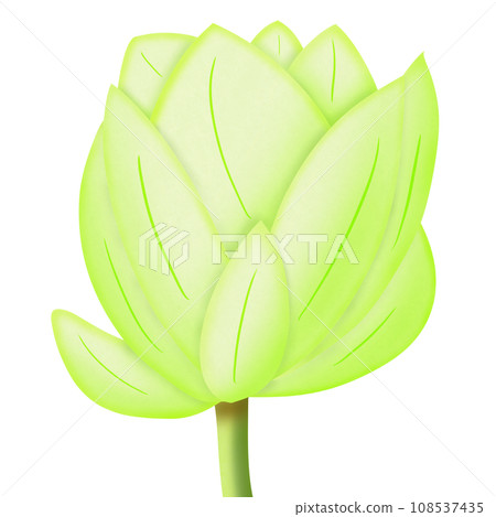 a lotus flower in the pot 108537435