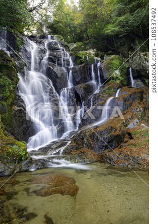Beautiful Shiraito Falls in autumn, a popular tourist destination representing Itoshima (Itoshima City, Fukuoka Prefecture) 108537492
