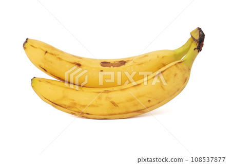 Bunch of bananas isolated on white background Bunch of bananas isolated on white background 108537877