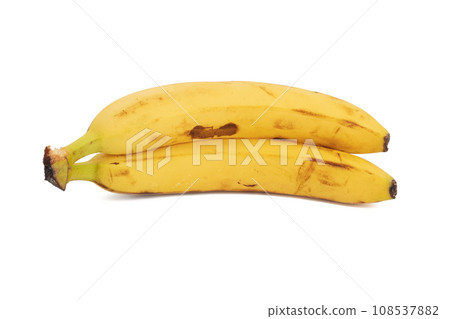 Bunch of bananas isolated on white background Bunch of bananas isolated on white background 108537882