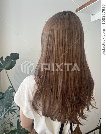 The back of a woman with long hair The back of a woman with long hair 108537936