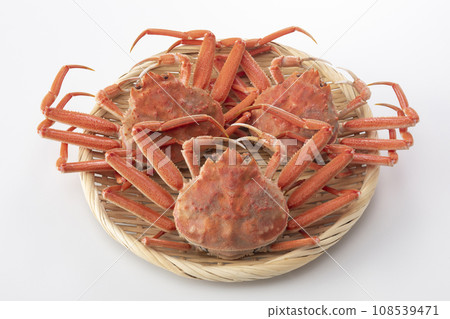 精工蟹 精工蟹 精工蟹 精工蟹 108539471