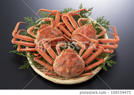 精工蟹 精工蟹 精工蟹 精工蟹 108539475
