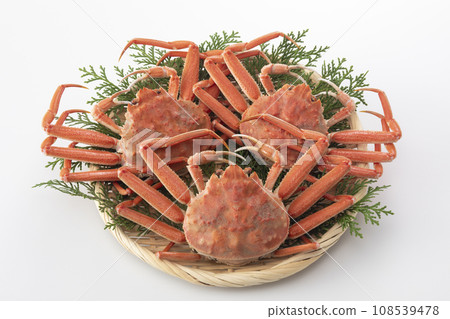 Seiko crab Seiko crab 108539478