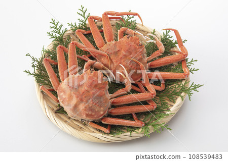 Seiko crab Seiko crab 108539483