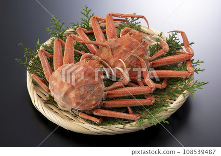 Seiko crab Seiko crab Stock Photo 108539487 PIXTA