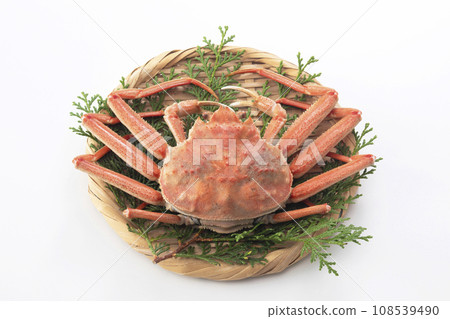 Seiko crab Seiko crab Stock Photo 108539490 PIXTA