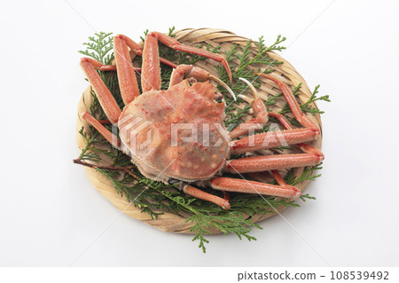 Seiko crab Seiko crab 108539492
