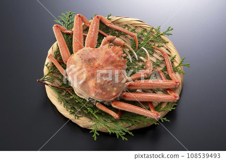 精工蟹 精工蟹 精工蟹 精工蟹 108539493