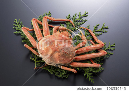 Seiko crab Seiko crab 108539543