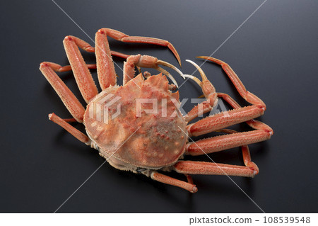 Seiko crab Seiko crab Seiko crab Seiko crab 108539548