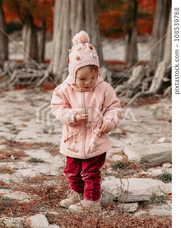 Cute child girl walking and playing in a autumnal forest. Little girl in warm clothes walks in the park 108539768