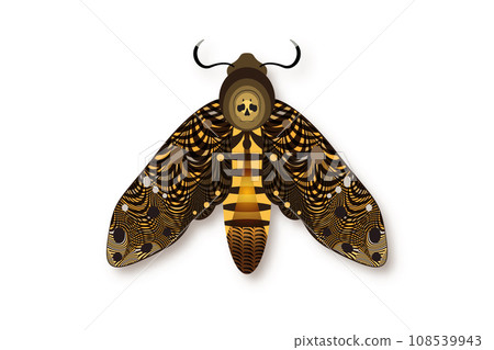 The death's head moth in dark brown colors. Night mystical butterfly with a skull. Vector illustration of Acherontia winged insect isolated on white background The death's head moth in dark brown colors. Night mystical butterfly with a skull. Vector illustration of Acherontia winged insect isolated on white background 108539943