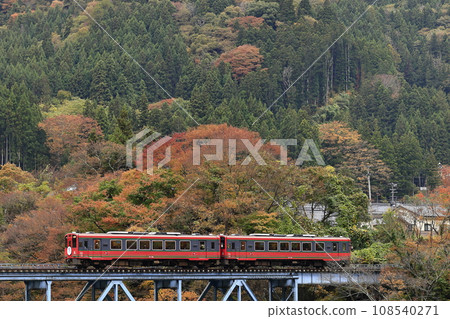 Aizu Railway of autumn leaves 108540271