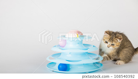 In a home setting, a playful orange kitten is engaged with a blue toy pyramid spiral tower. Reaching for colorful balls, this adorable cat's antics make for a charming and interactive pet portrait. In a home setting, a playful orange kitten is engaged with a blue toy pyramid spiral tower. Reaching for colorful balls, this adorable cat's antics make for a charming and interactive pet portrait. 108540392