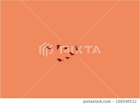 黃昏飛翔的幾隻候鳥插畫 黃昏飛翔的幾隻候鳥插畫 108540512