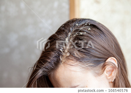 Parting of women's hair on the head. Hair care and care. Closeup of a woman's head with parted gray hair regrown roots becouse of quarantine 108540576