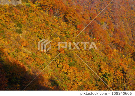 從新潟縣魚沼市江戶峠方向的國道352號線看去的山間紅葉 108540606