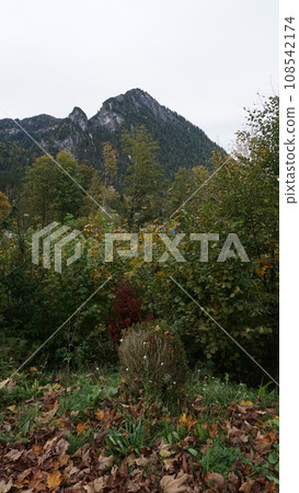 View of Berchtesgaden National Park, Berchtesgaden Alps, Berchtesgadener Land, Bavaria, Germany, Europe View of Berchtesgaden National Park, Berchtesgaden Alps, Berchtesgadener Land, Bavaria, Germany, Europe 108542174