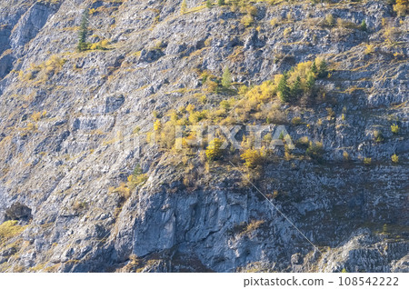 View of Berchtesgaden National Park, Berchtesgaden Alps, Berchtesgadener Land, Bavaria, Germany, Europe 108542222