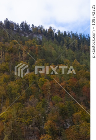 View of Berchtesgaden National Park, Berchtesgaden Alps, Berchtesgadener Land, Bavaria, Germany, Europe View of Berchtesgaden National Park, Berchtesgaden Alps, Berchtesgadener Land, Bavaria, Germany, Europe 108542225