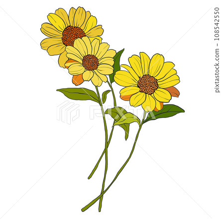 Vector flowers bouquet of yellow gerbera and greenery. Hand painted floral illustration isolated on white background. For design, print, fabric or background. Vector flowers bouquet of yellow gerbera and greenery. Hand painted floral illustration isolated on white background. For design, print, fabric or background. 108542550