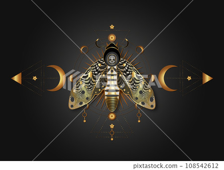 The death's head moth on Sacred Geometry. Night mystical butterfly with a skull and Moon Phases. Gold luxury vector illustration of celestial Acherontia winged insect isolated on black background The death's head moth on Sacred Geometry. Night mystical butterfly with a skull and Moon Phases. Gold luxury vector illustration of celestial Acherontia winged insect isolated on black background 108542612