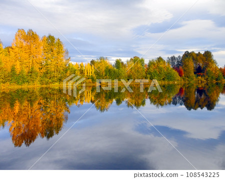 Autumn colored trees on cloudy sky background with reflections 108543225