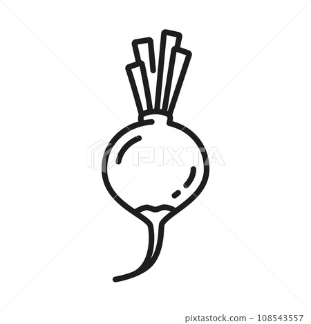 Raw radish with stem isolated veggie line icon. Vector raw salad ingredient, european radish, vegetable harvest icon. Vegetarian food root, fresh beetroot 108543557