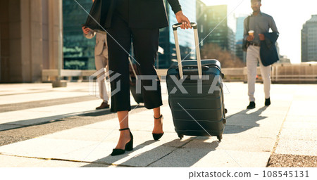 Man, woman and travel with work for corporate, professional and airport with luggage to plane. Formal, career and executives with luxury in first class and visa, booking and 108545131