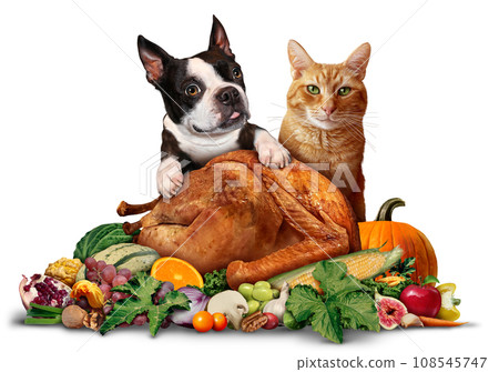 Pets And Thanksgiving 108545747