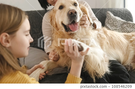 Mother and girl daughter playing with golden retriever dog paws sitting on sofa at home. Pretty teen kid and young woman petting purebred doggy pet indoors Mother and girl daughter playing with golden retriever dog paws sitting on sofa at home. Pretty teen kid and young woman petting purebred doggy pet indoors 108546209