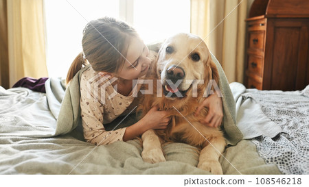 Cute kid girl hugging golden retriever dog lying in bed and smilling in morning. Pretty preteen kid with purebred pet doggy labrador wake up at home 108546218