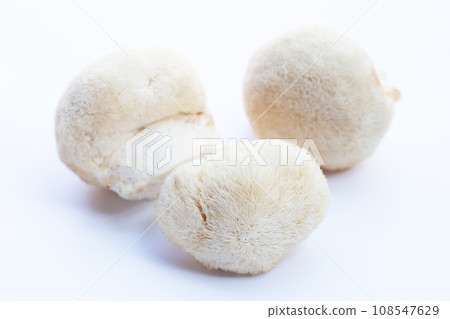 Fresh lion's mane mushroom on white background. 108547629