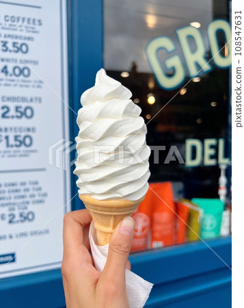 手拿著軟服務 108547631