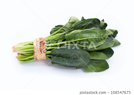 Fresh spinach on white background Fresh spinach on white background 108547675