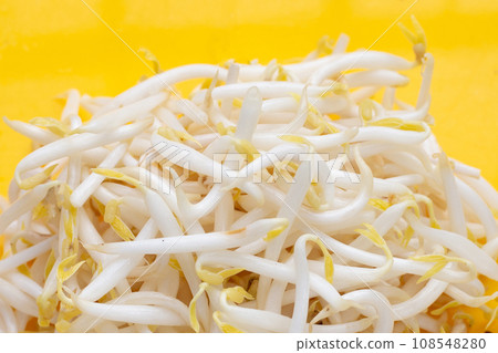 Bean sprouts on yellow background 108548280