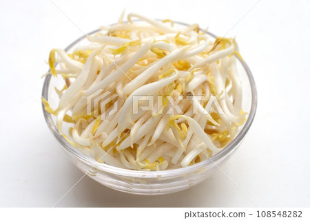 Bean sprouts on white background 108548282