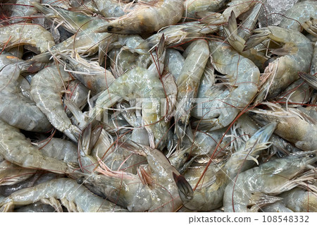 Fresh sea shirmp on ice. Seafood market Fresh sea shirmp on ice. Seafood market 108548332