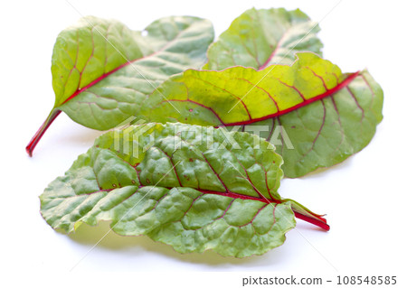 Fresh swiss chard leaves. Baby leaf swiss chard Fresh swiss chard leaves. Baby leaf swiss chard 108548585