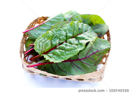 Fresh swiss chard leaves. Baby leaf swiss chard 108548588