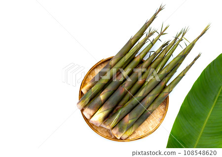 Fresh bamboo shoots on white background. Fresh bamboo shoots on white background. 108548620