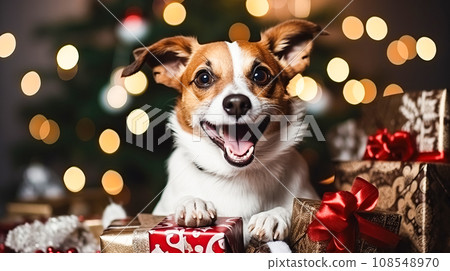 A joyful Jack Russell puppy sits in a pile of gifts. Cute dog on the background of Christmas tree garlands 108548970